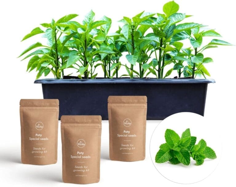 Hexagro Growing Kit Summer Salad Mix