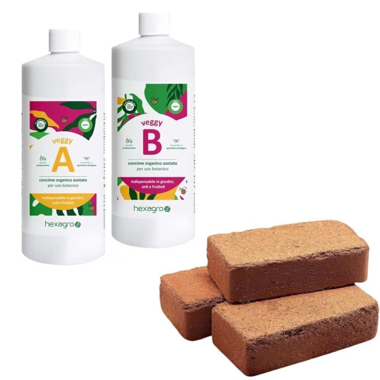 Hexagro Starter Kit S
